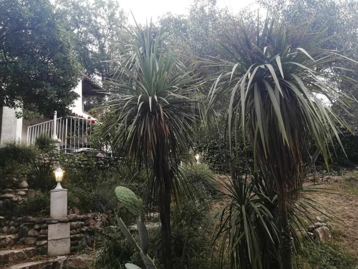 Hotel La Mhirabelle à Saint-Paul-de-Vence Extérieur photo